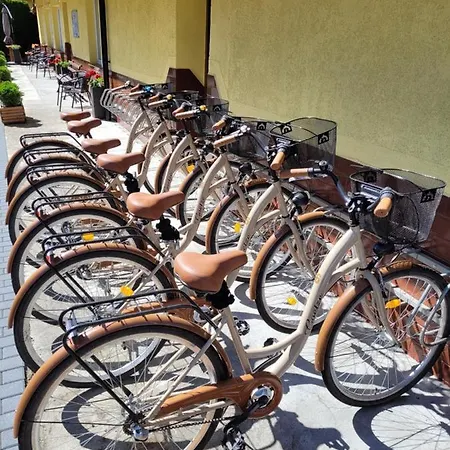 ホームステイ Chmurka *